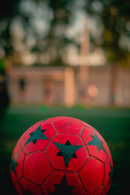 亚马尔与莫 亚马尔与莫