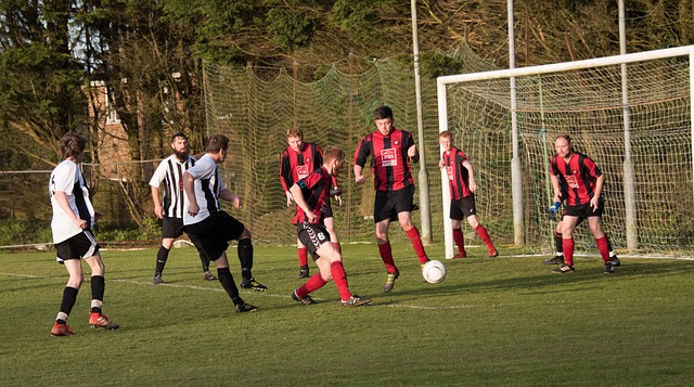 哈格带来的 哈格带来的