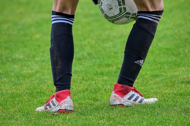 要组成部分 要组成部分