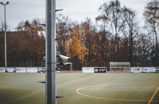 的投资也是 的投资也是