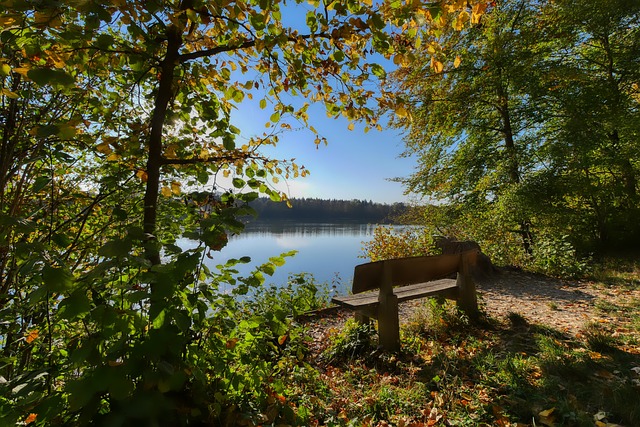 評聲認為他 評聲認為他